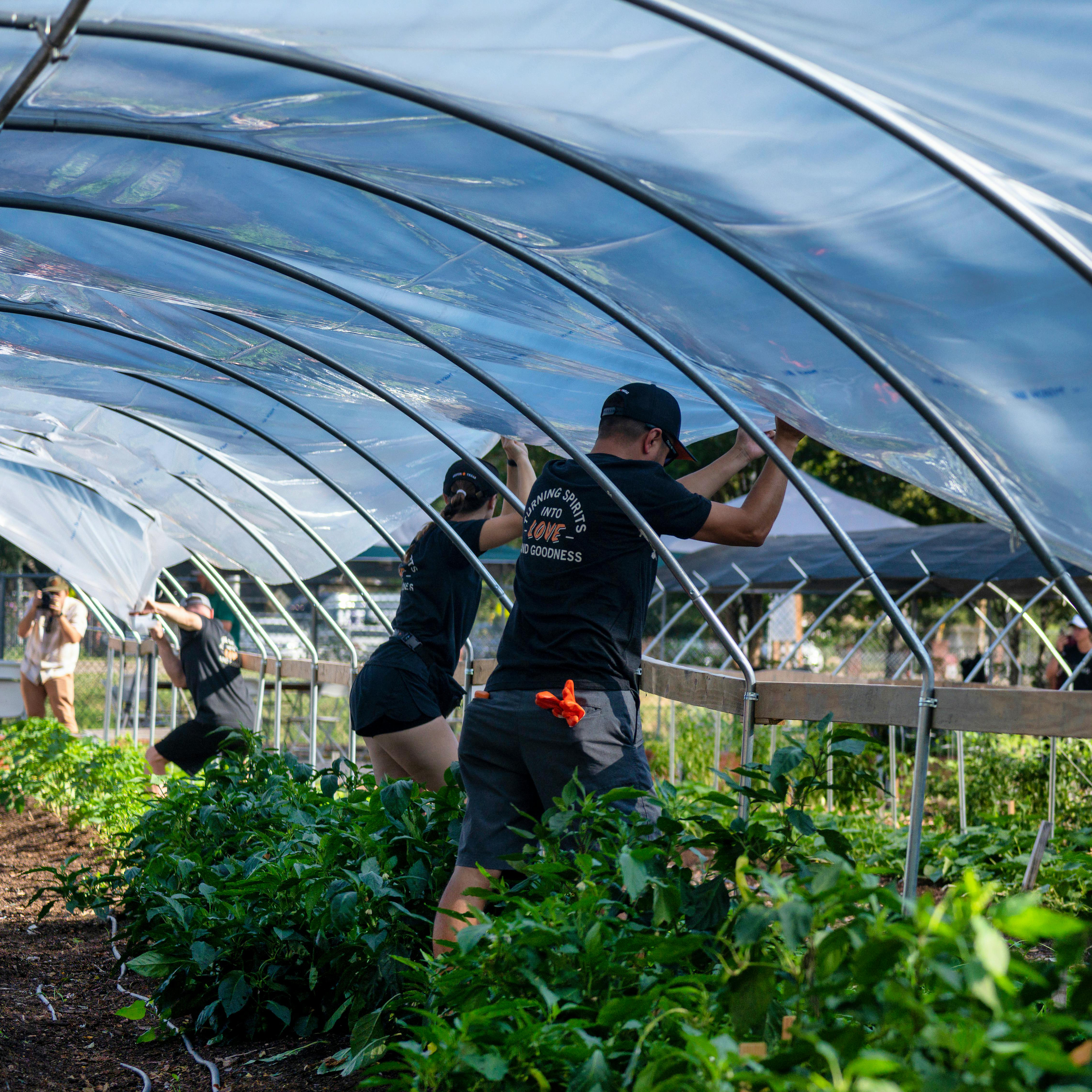 Greenhouse Farm